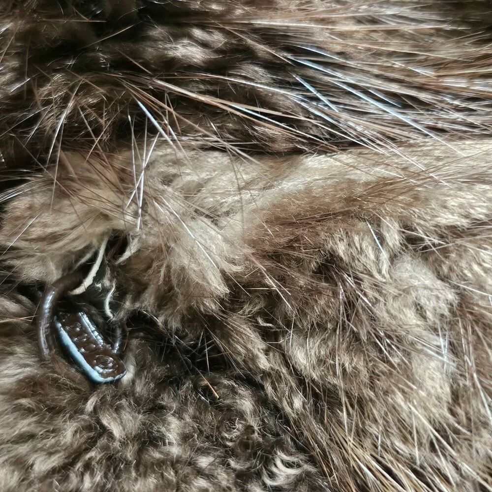 Evans Full Length Beaver Fur Coat M - Picture 9 of 10